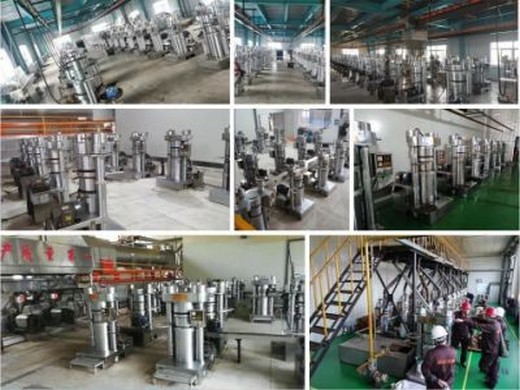 pine nut oil press machine manufacturer‏