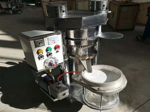 professional nuts processing machine manufacturer