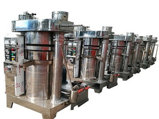 china economical rice bran oil press machine china oil