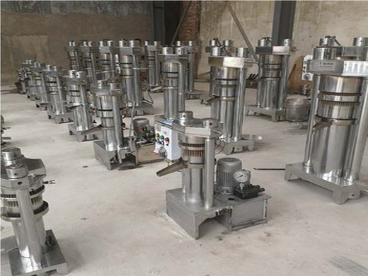 china oil press | oil press production line