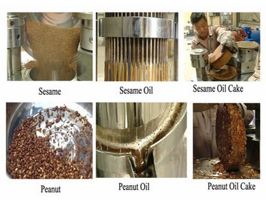 oil press machine manufacturers and exporters in india