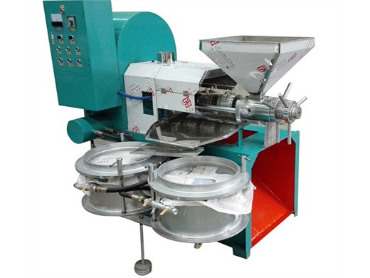 widely used hot salevegetable seed oil extractor machine