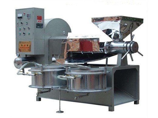 dl-zyj06 model enegy saving peanut oil press machine in vietnam