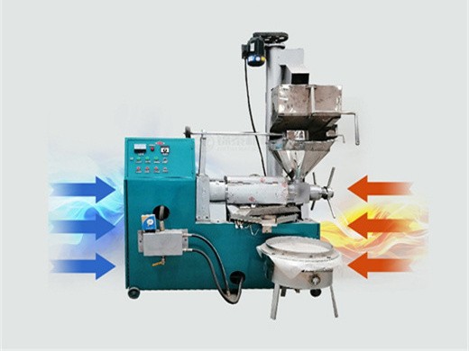 large walnut oil press machine price