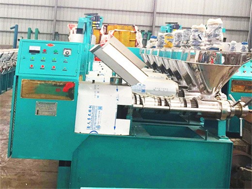 oil press machine skillful processed new design low price