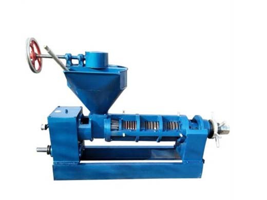 professional sunflower hot oil press machine on uzbekistan