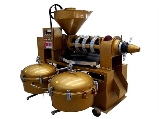 high quality commercial soya bean oil extraction machine