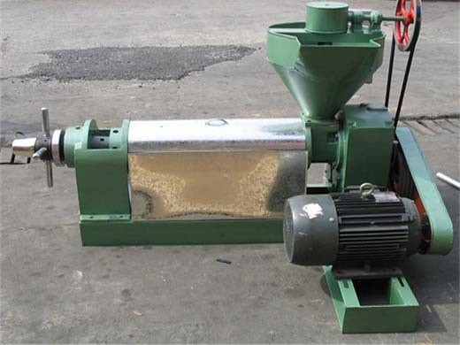 hot sales soybean automatic screw nut oil press machine price list