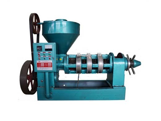 factory direct yzs 95 sesame oil press in nigeria