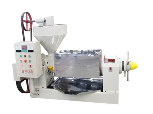 new automatic stainless steel big commercial oil press machine