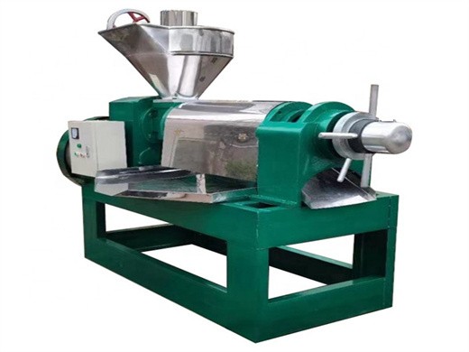 hot sale big automatic soybean oil press machine in philippines