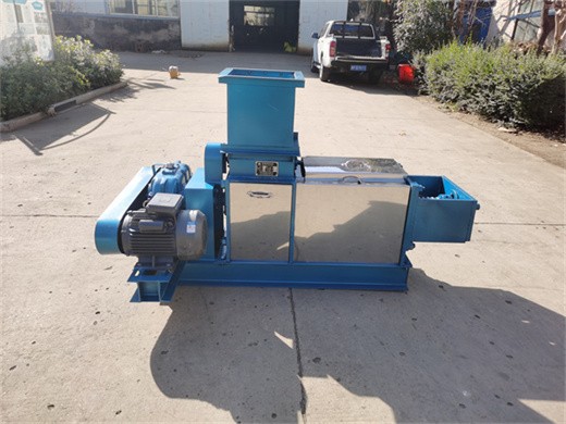 automatic oil press machine 300w oil extractor nut olive pomace