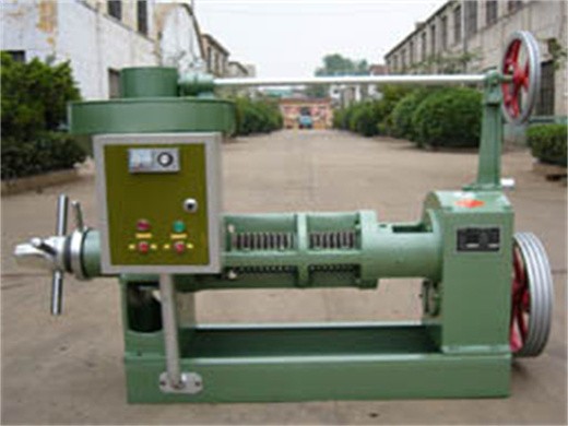 chinese factory direct sale grape seed oil extraction machine