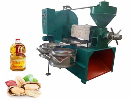 professional big oil press for sale – buy professional big