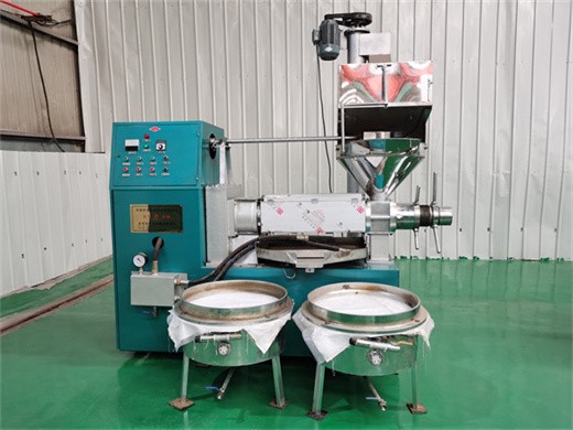 hot sales high capacity oil press machine kenya in vietnam