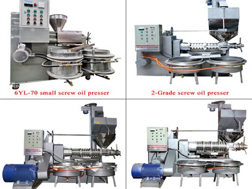 top selling china big cold press oil machine cost