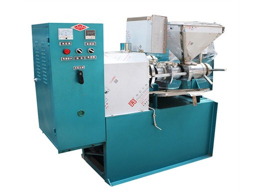 china sunflower oil press machine china oil machine in algeria