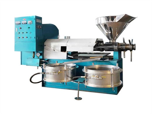 automatic oil press machine stainless steel hot cold in ecuador