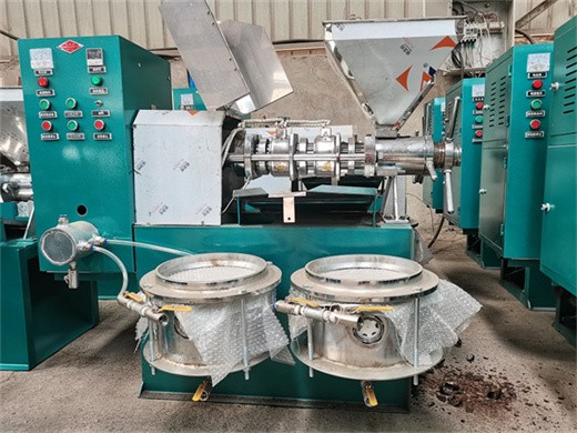 nigeria hot sale 6yl-95a peanut cold oil press/95 combined