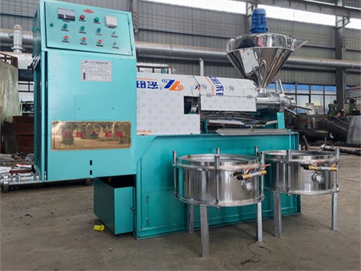 semi automatic skmw almond oil extraction machine rs 555000