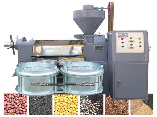 rape and cotton seeds screw oil press machine coconut oil in cameroon