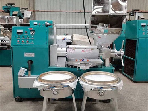 2024 hot selling new type commercial oil press machine for sale