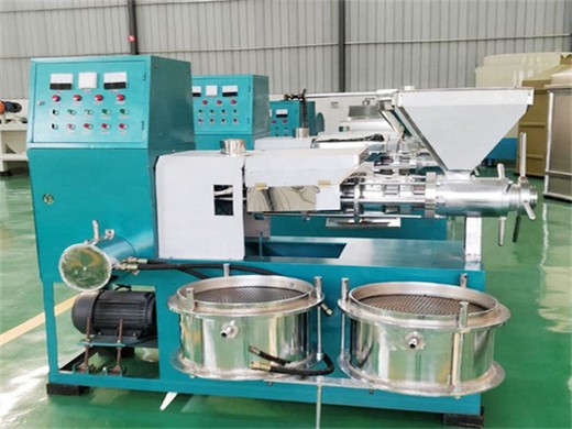 nut kernel oil extraction process machine