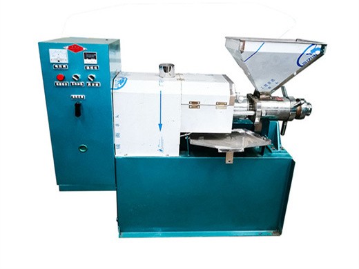 best sale service peanut soybean sesame oil press machine