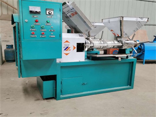 commercial big oil press machine sunflower seeds sesame soybean