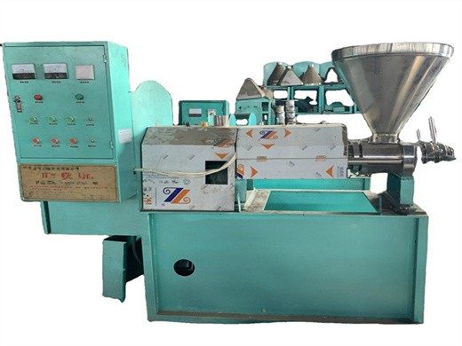 groundnut oil press machine with african