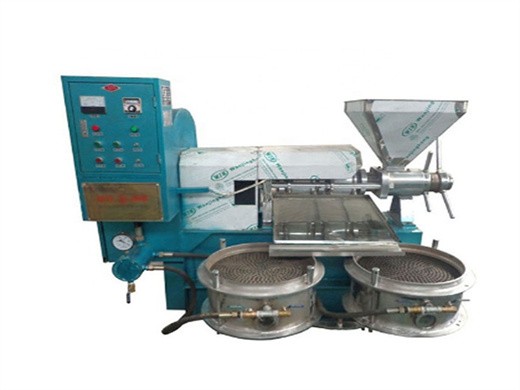 energy saving automatic screw oil press machine in cote d’ivoire