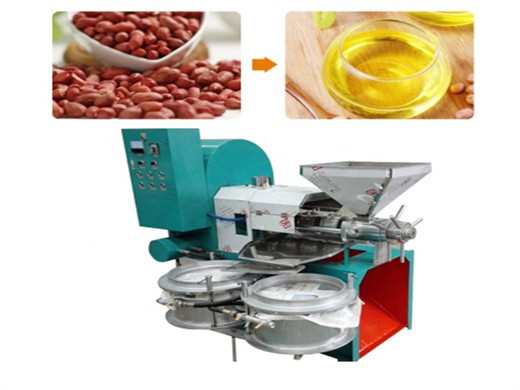 2024 cold press reeja screw press oil extract