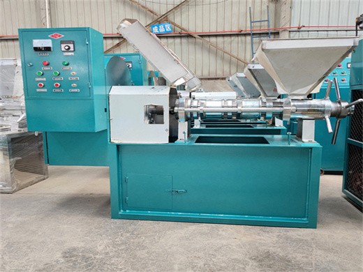 ethiopia 60kg/h sunflower oil press machine supplier for sudan