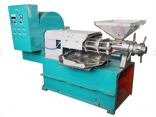 dl-zyj05 stainless steel sunflower oil press in angola