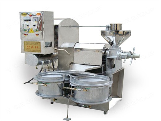 110v stainless steel automatic oil press extraction machine