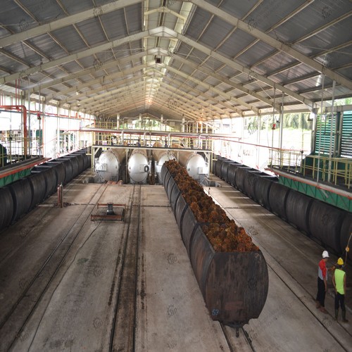 crude palm oil processing mill palm oil pressing extraction with peru