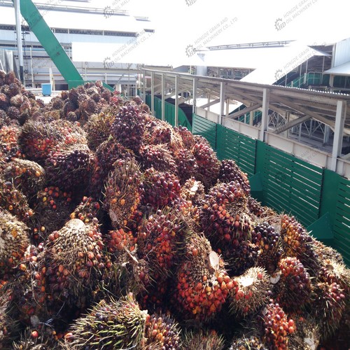 10tpd palm oil fractionation plant setup in cote divoire