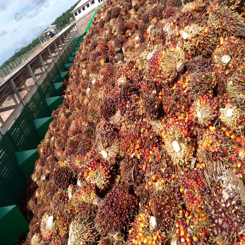 palm oil press whole production line for sale from china in Nigeria