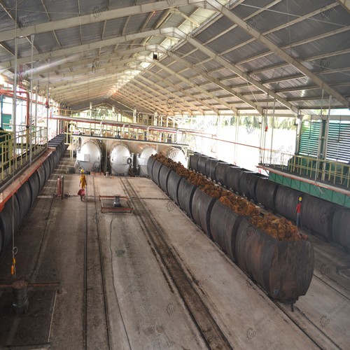 cooking oil press production line used for peanut palm fruit