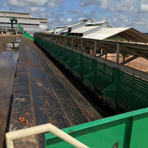 crude palm oil milling process in bangladesh