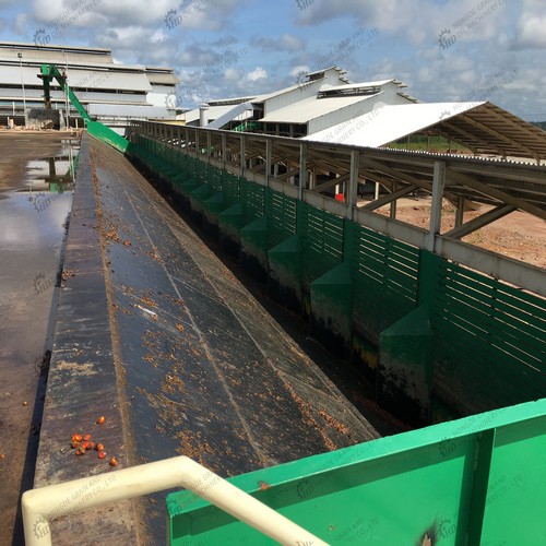 expeller palm oil machine in ethiopia