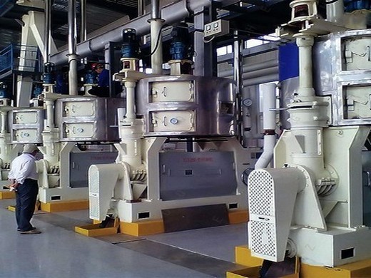 newest edible oil mill machinery news，edible oil