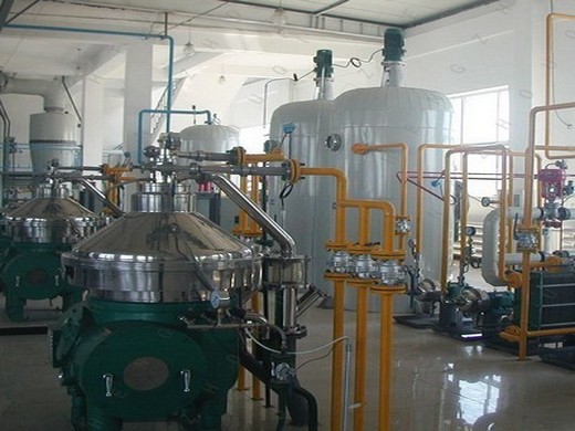 commercial type large screw peanut oil press machine hj