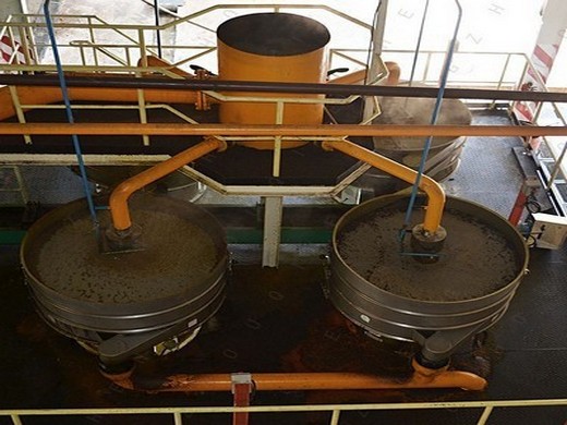 top commercial peanut oil press production line