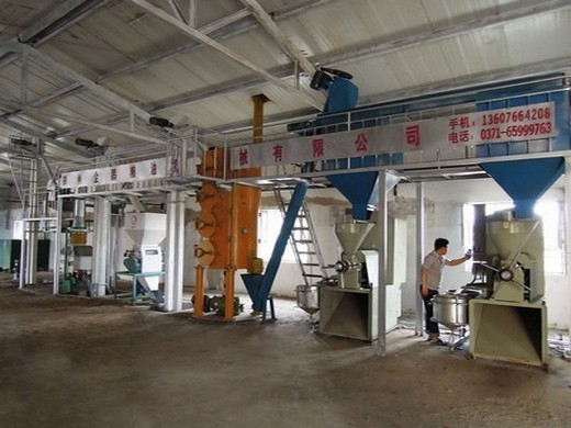 china palm kernel oil processing machine, palm kernel oil