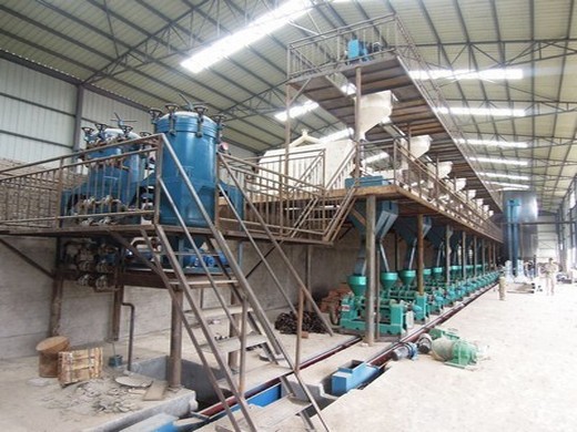 manufacturing automatic palm oil press machine