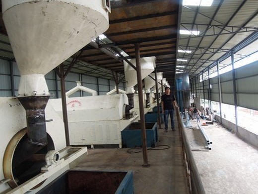 small soya oil press machine for sale