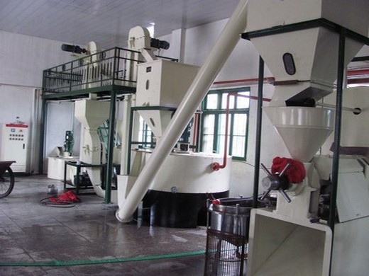 automatic oil press machine oil expeller extractor