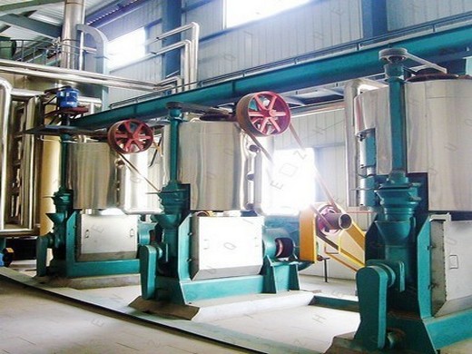 stainless steel palm kernel oil expeller machine