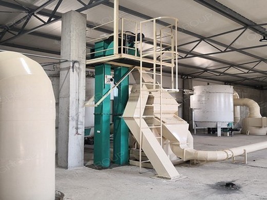 top quality cold press palm oil extracting machine